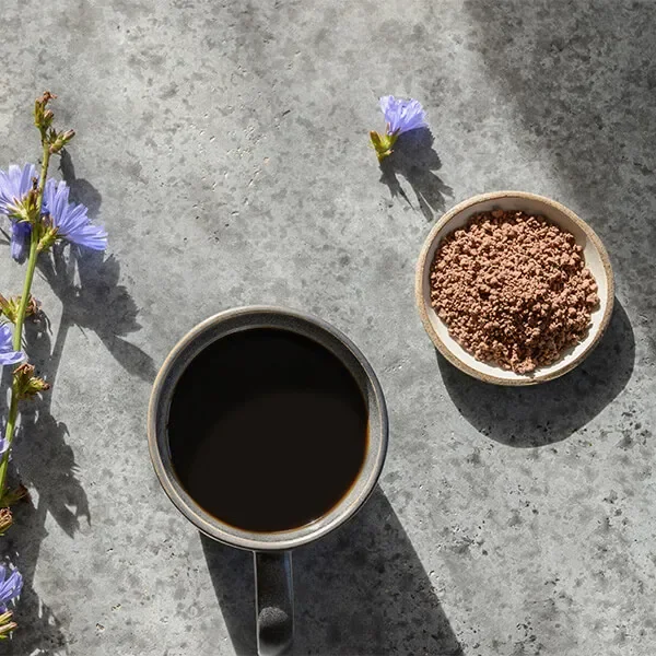 Chicory coffee - brewed cup and roasted chicory grounds