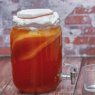 Kombucha