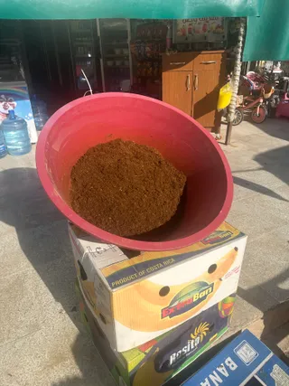 Sous fermenting in the sun, Syria