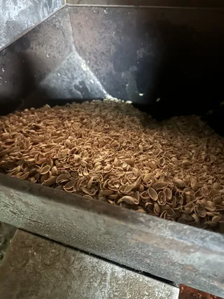 Roaster burning nutshells as fuel for terebinth