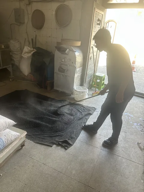 Freshly roasted terebinth spread out to cool