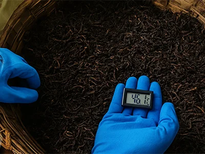 Fermentation process with temperature monitoring