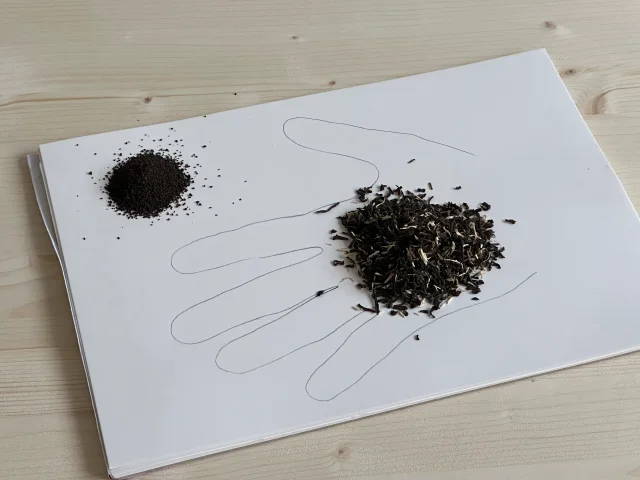 Comparison showing a small pinch of regular tea next to a generous handful of NooTea leaf