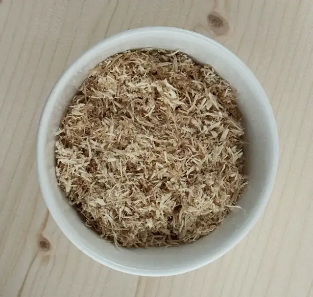 Lion's Mane mushroom