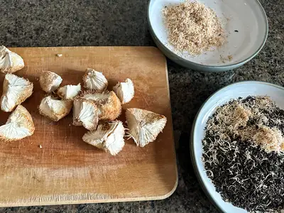 Lion's Mane pieces and tea blend ready for mixing