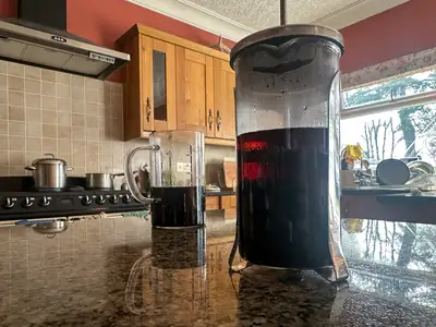 NooTea brewing in a cafetière in the kitchen