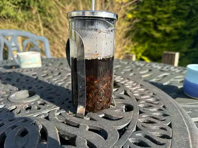 NooTea infusing in a cafetière outdoors in sunlight
