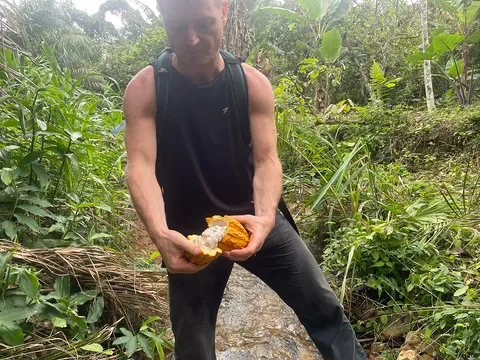 NooTea co-founder breaking open cocoa pod by hand